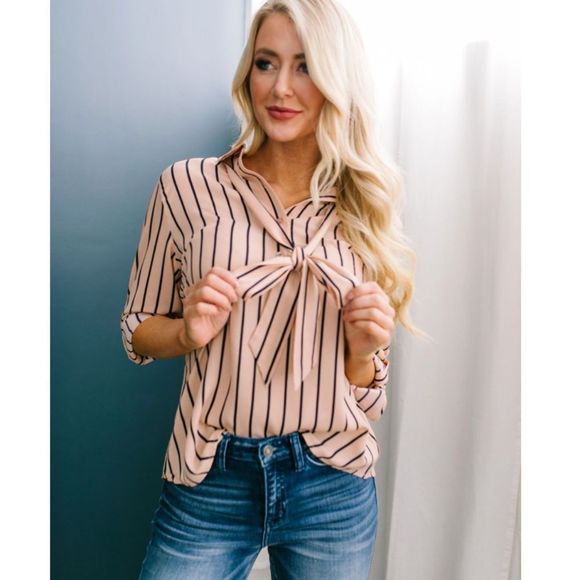 NWT The Frankie Crystal Collection Madame Librarian Blouse - Picture 1 of 3